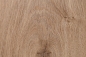 Preview: Strong Atlas Oak Beige 4 V